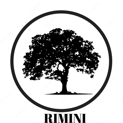 ريمينى للصناعة والتجارة