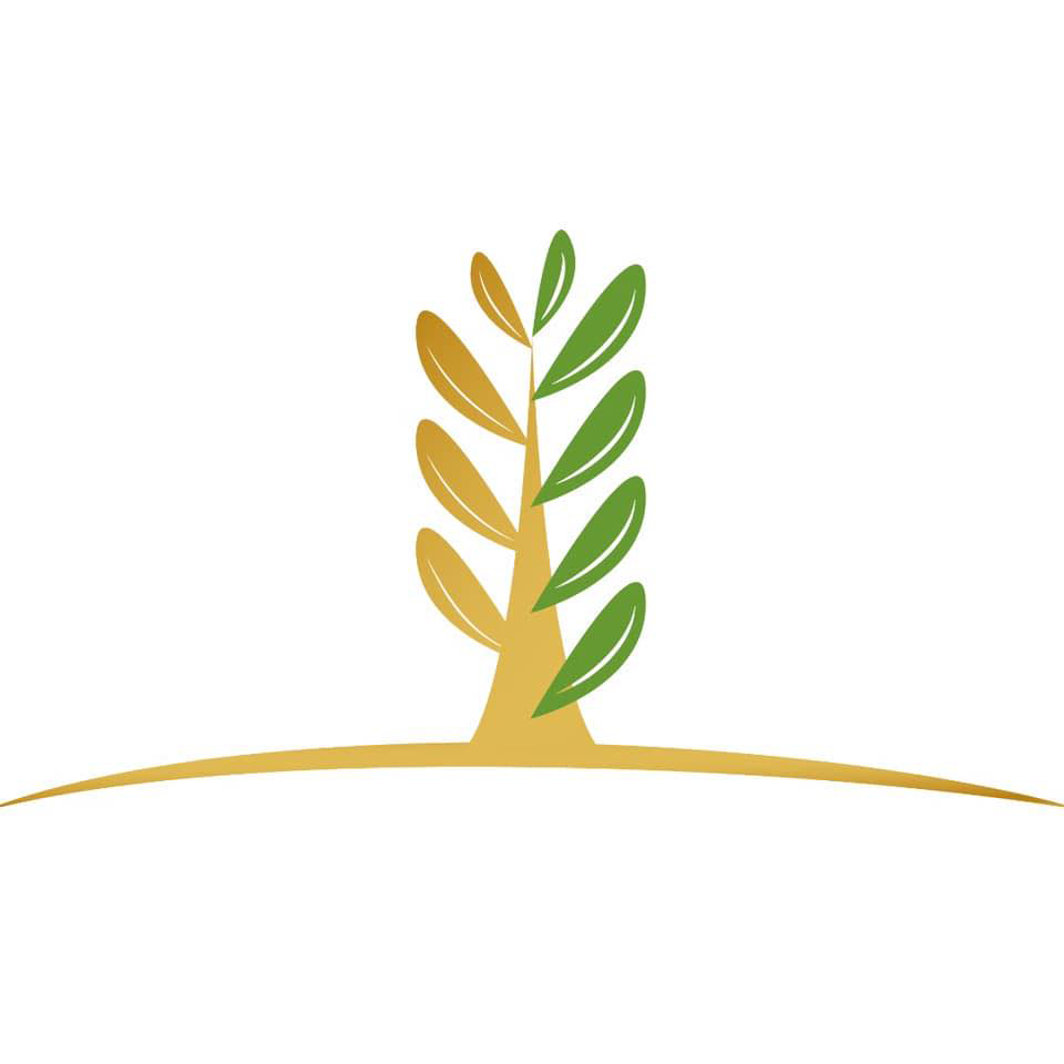 شركة الإحسان للتنمية وإدارة المشاريع